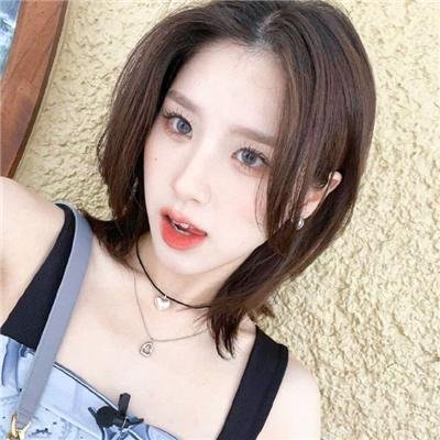 狐狸捕手