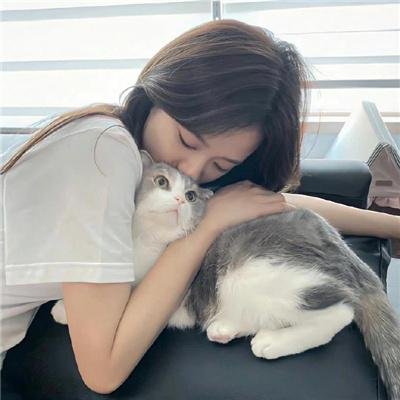 满城尽奏吉卜赛